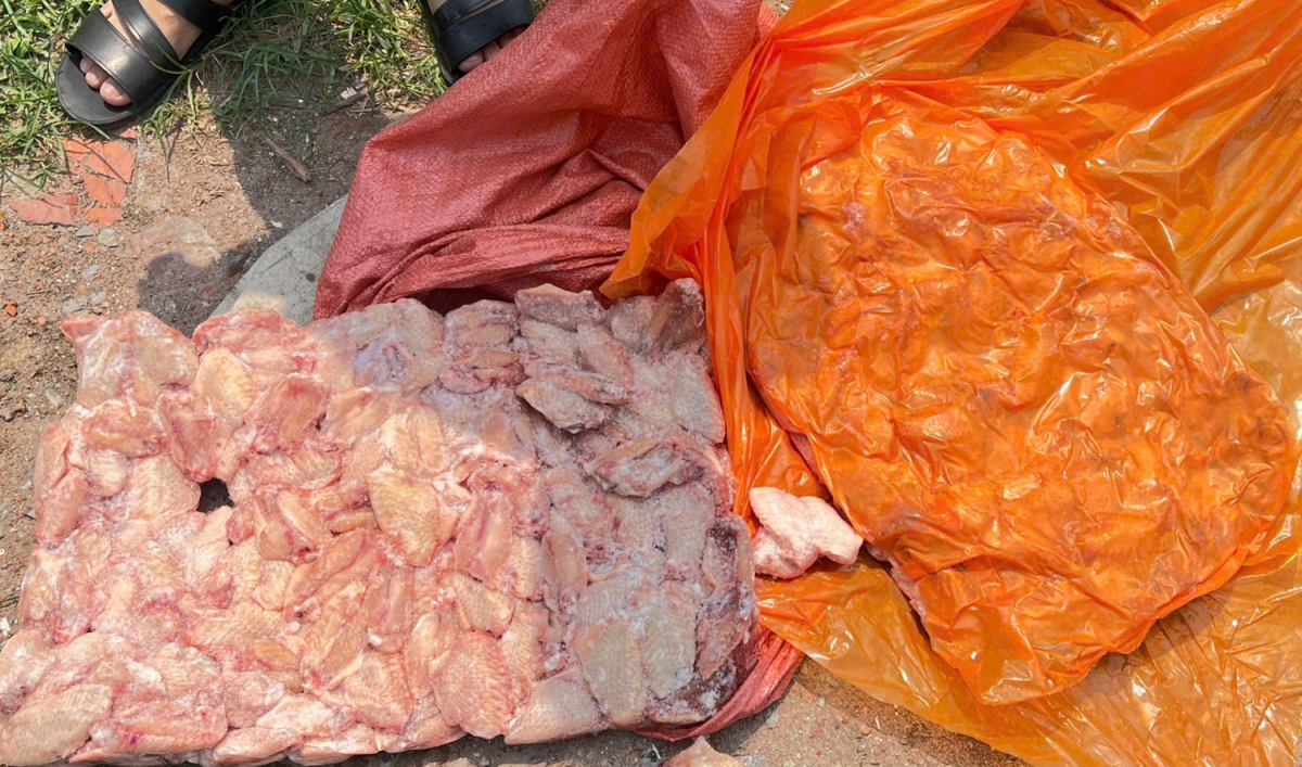 Hơn 10,5 tấn cánh gà, chân gà đông lạnh bốc mùi, bị hư hỏng chuẩn bị đưa vào thị trường tiêu thụ bị cơ quan chức năng thu giữ