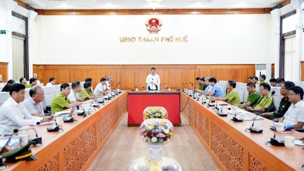 Tp. Huế đặt mục tiêu tiếp tục bảo vệ hiệu quả diện tích rừng hiện có