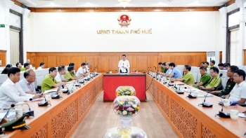 Tp. Huế đặt mục tiêu tiếp tục bảo vệ hiệu quả diện tích rừng hiện có