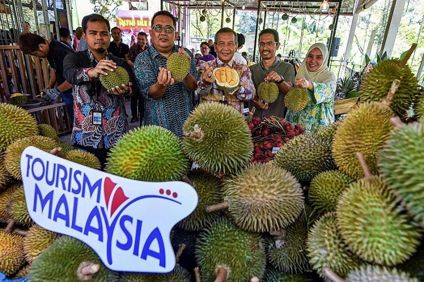 Sầu riêng Malaysia lao đao vì thu hoạch sớm và chi phí logistics tăng vọt