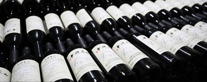 Rượu vang Trung Quốc vươn tầm quốc tế, mở rộng giá trị nông nghiệp từ vùng núi cao
