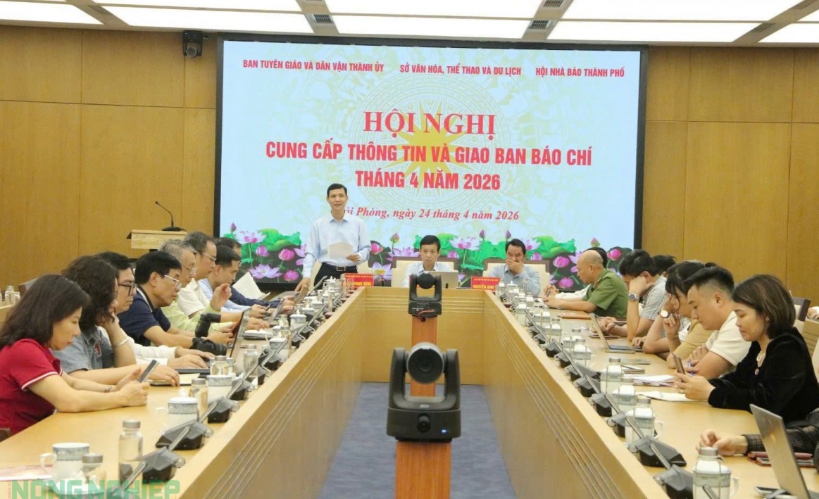 Hải Phòng: "Tăng tốc" cho mùa Lễ hội Hoa Phượng Đỏ 2026