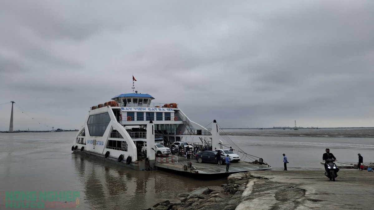 Tạm dừng tiếp nhận ô tô con qua phà Đồng Bài ra Cát Bà từ dịp nghỉ lễ