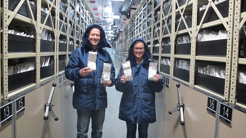 Hoa Kỳ di dời các ngân hàng hạt giống đậu tương và ngô: Nguy cơ gián đoạn nghiên cứu giống cây trồng