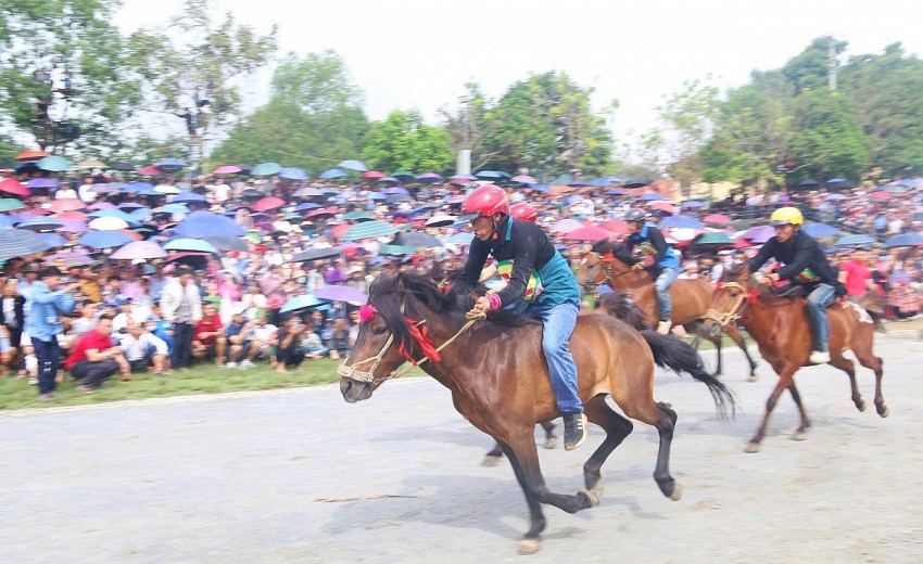 Sắp diễn ra Festival mùa hè Bắc Hà 2026 với chủ đề “Vang xa vó ngựa cao nguyên”