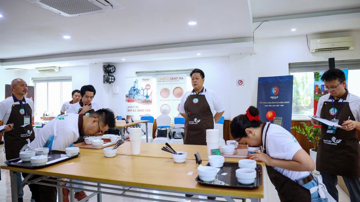 Hơn 40 mẫu cà phê vào chung kết Vietnam Amazing Cup 2026