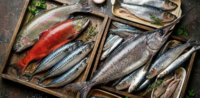 6 loại cá giàu vitamin D giúp xương chắc khỏe và tăng cường hệ miễn dịch