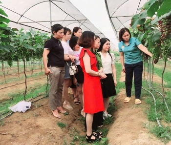 Khánh Hòa: Chuyển đổi hơn 478 ha cây trồng trong năm 2026