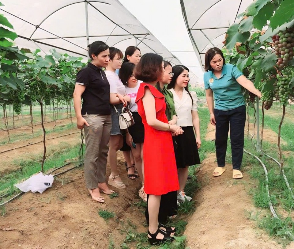 Khánh Hòa: Chuyển đổi hơn 478 ha cây trồng trong năm 2026