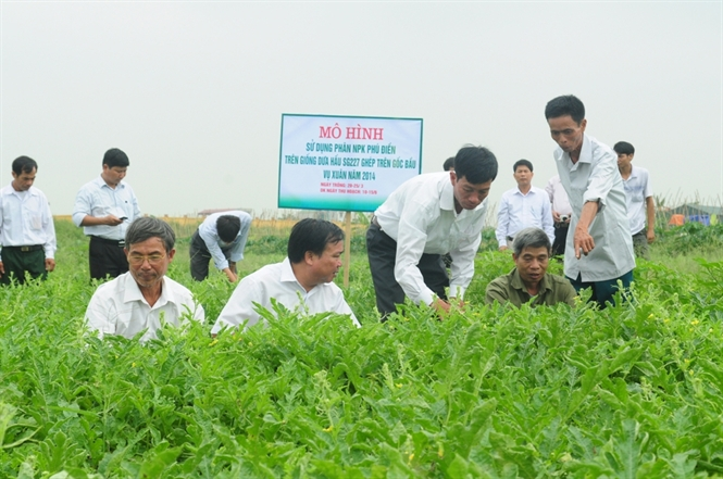 So sánh thú vị giữa nông nghiệp Hoa Kỳ và Việt Nam