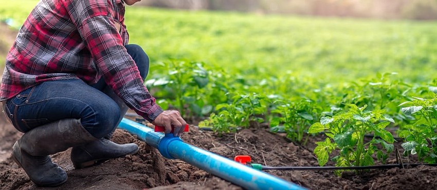 Nông dân Hoa Kỳ lo ngại phán quyết Tòa án Tối cao có thể làm gián đoạn công cụ bảo vệ cây trồng