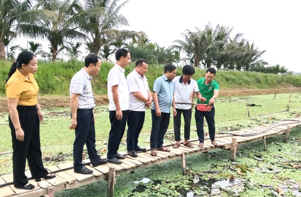 Vụ Hè Thu - Mùa 2026: Nghệ An chủ động ứng phó với hạn hán, đẩy mạnh chuyển đổi cơ cấu cây trồng