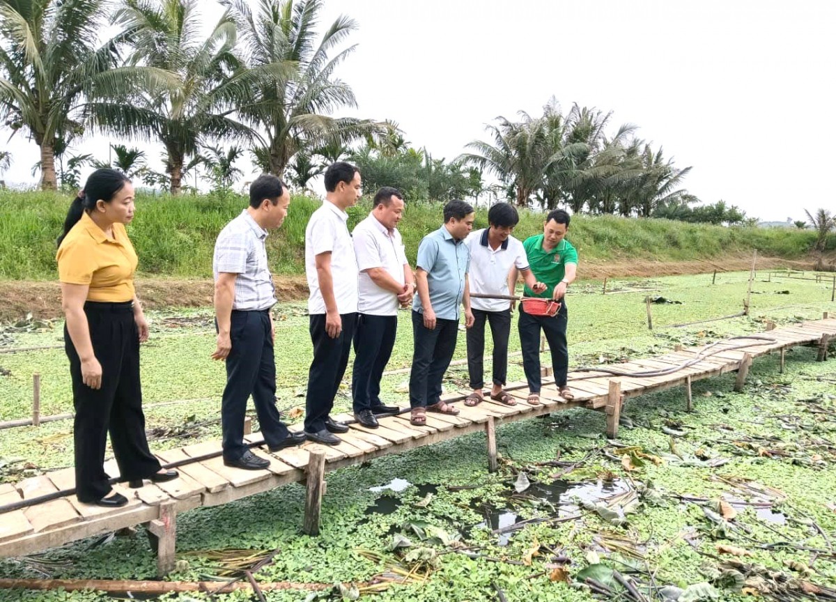 Vụ Hè Thu – Mùa 2026: Nghệ An chủ động ứng phó với hạn hán, chuyển đổi đất kém hiệu quả để sản xuất