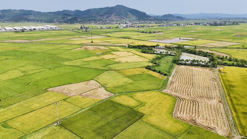 Vụ Hè Thu – Mùa 2026: Nghệ An chủ động ứng phó với hạn hán, chuyển đổi đất kém hiệu quả để sản xuất