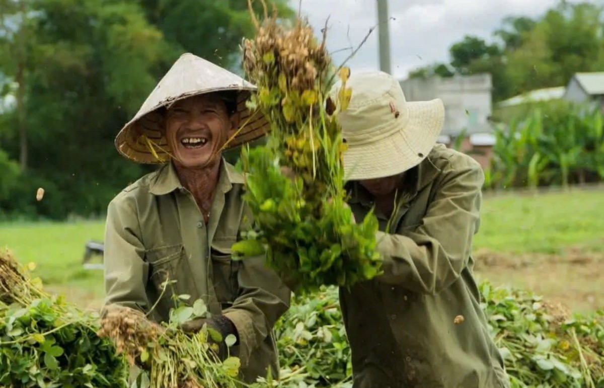 Mô hình hữu cơ Xuân Nam: Hướng đi bền vững cho nông nghiệp Đà Nẵng