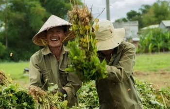 Mô hình hữu cơ Xuân Nam: Hướng đi bền vững cho nông nghiệp Đà Nẵng