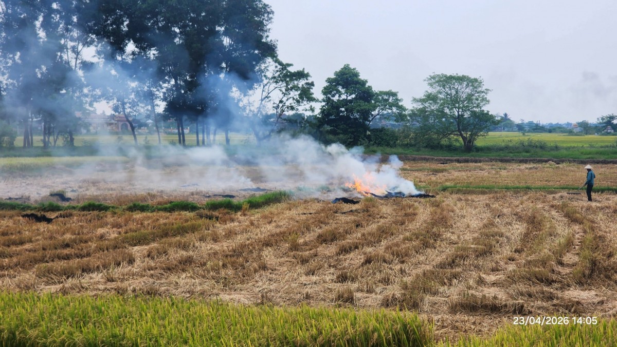 đốt rơm rạ