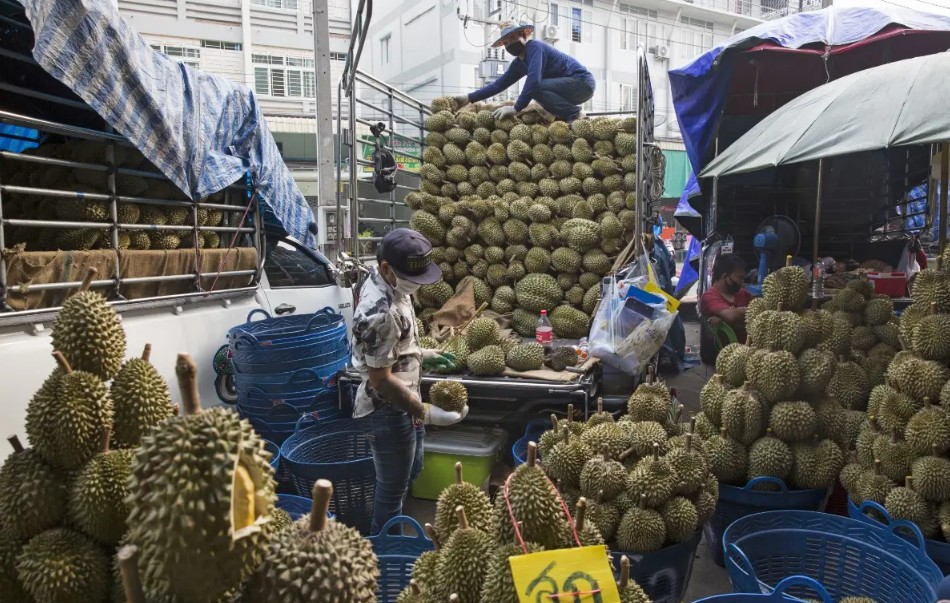 sau rieng thai lan giam gia sau do du cung ap luc thi truong de nang len nong dan