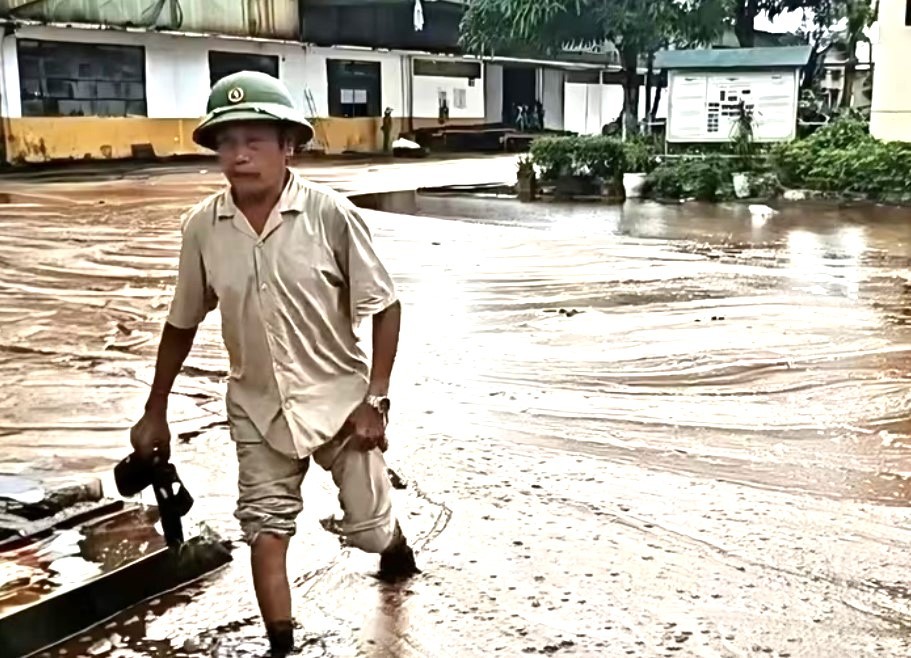 Chưa phát hiện “bất thường” trong vụ cá nuôi lồng chết hàng loạt trên sông Lam