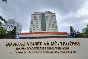 Bộ Nông nghiệp và Môi trường đề xuất ổn định cơ cấu 29 đơn vị trực thuộc