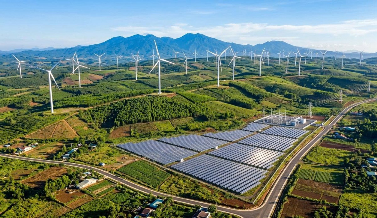 Gia Lai: 