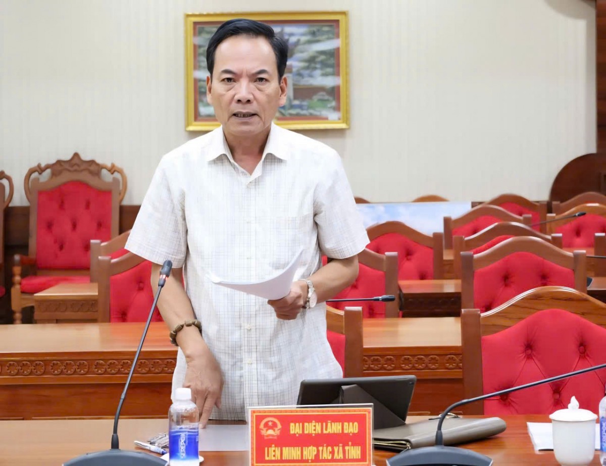 Đắk Lắk: Thúc đẩy phát triển kinh tế tập thể gắn với chuỗi giá trị và công nghệ cao