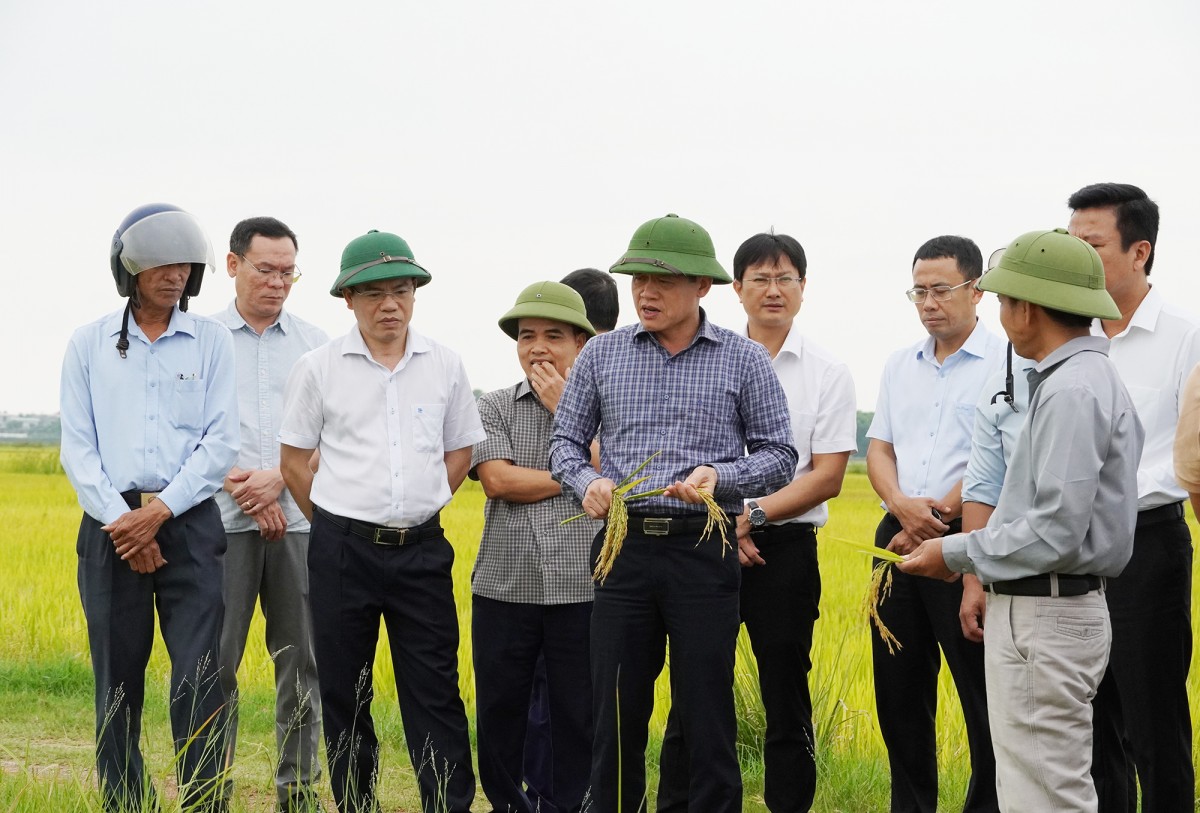 Quảng Trị: Kiểm tra thu hoạch vụ Đông Xuân và xây dựng nông thôn mới ở xã Lệ Thủy
