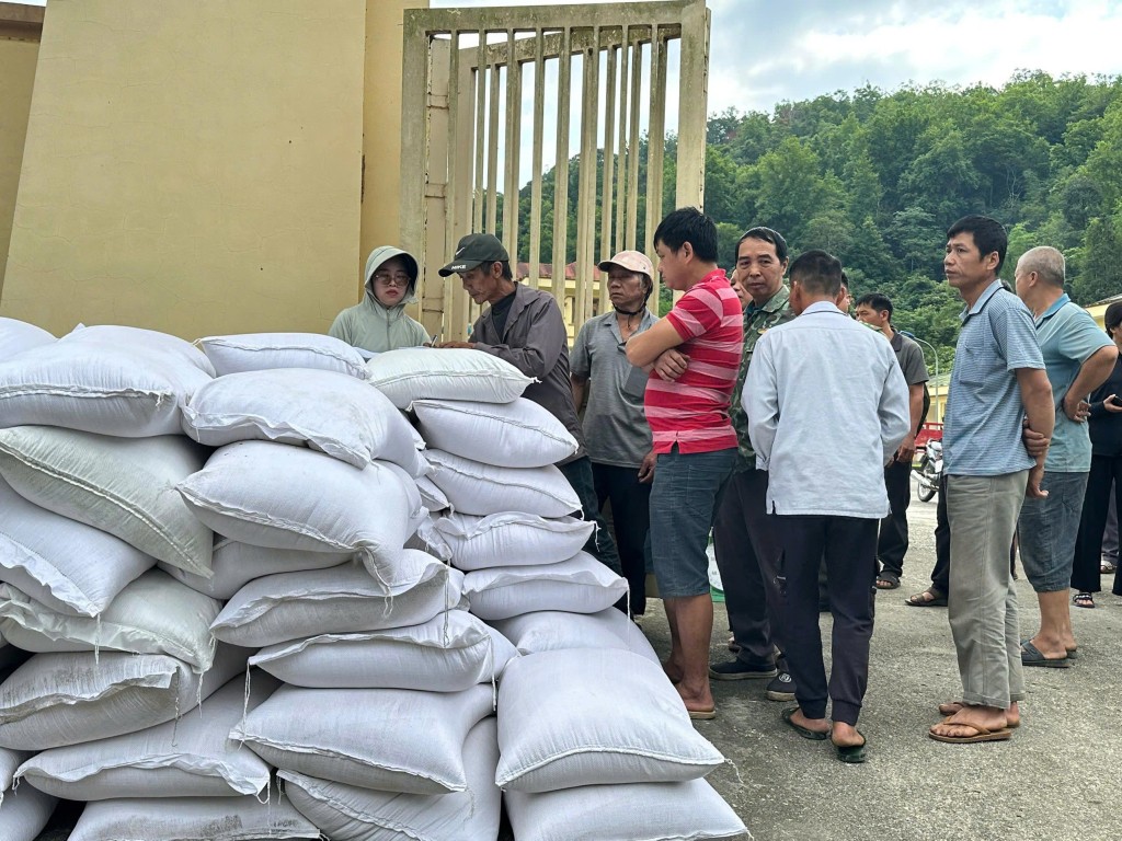 Cao Bằng: Xã Thông Nông tiếp nhận, cấp phát 73.920 kg gạo hỗ trợ hộ dân tham gia bảo vệ rừng