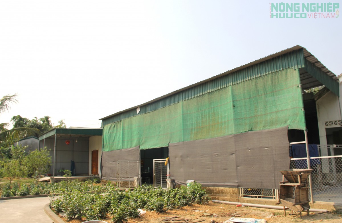 Nghệ An: Người dân khốn khổ “tố” mỏ đá gây ô nhiễm khói bụi