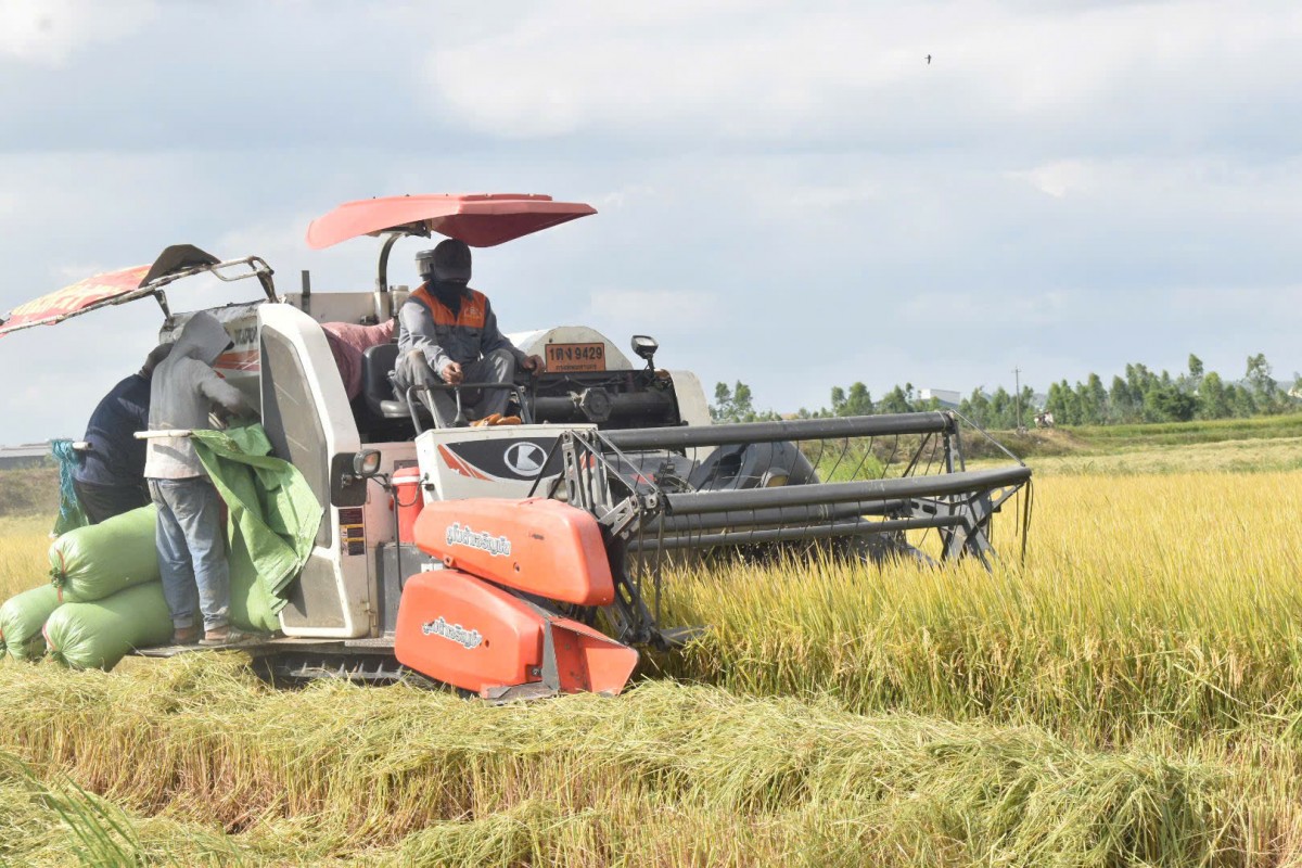 Đắk Lắk: Người dân Ea Ô rộn ràng trên những 