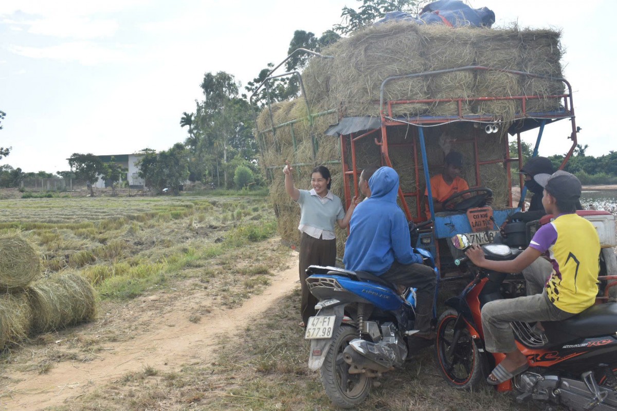 Đắk Lắk: Người dân Ea Ô rộn ràng trên những 