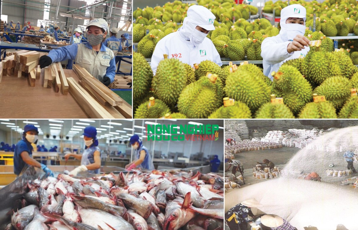 Xuất khẩu nông, lâm, thủy sản 2026: Kỳ vọng mục tiêu 74,2 tỷ USD và yêu cầu chuyển đổi chuỗi giá trị