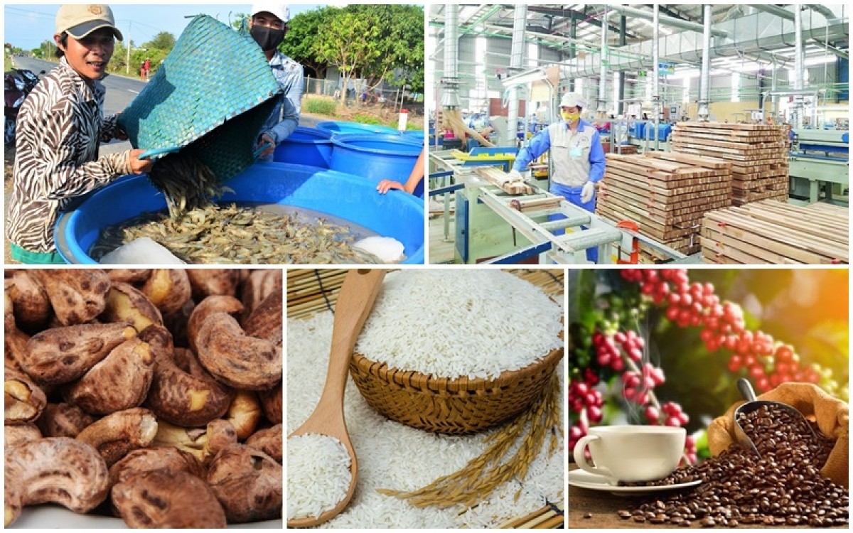 Xuất khẩu nông, lâm, thủy sản 2026: Kỳ vọng mục tiêu 74,2 tỷ USD và yêu cầu chuyển đổi chuỗi giá trị
