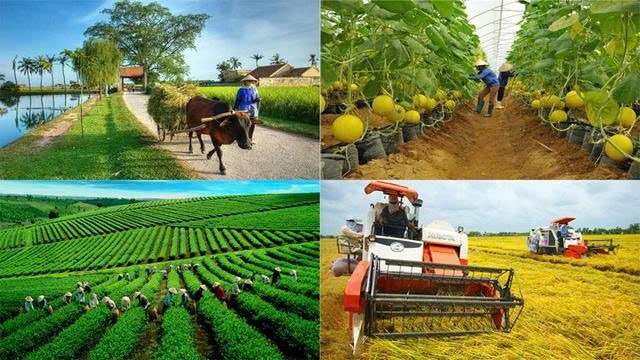 Phát động phong trào thi đua xây dựng nông nghiệp sinh thái, nông thôn hiện đại
