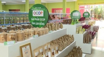 Thúc đẩy sản xuất xanh, mở rộng thị trường xuất khẩu bền vững