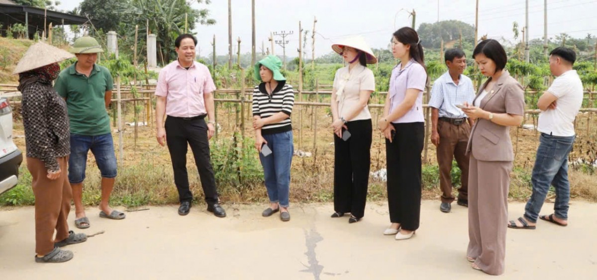 ‘Bản giao hưởng số’ trên đồng đất Đoan Hùng