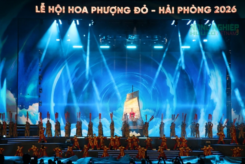 Hải Phòng – Hội tụ và Tỏa sáng: Đêm khai mạc Lễ hội Hoa Phượng Đỏ 2026 đầy khát vọng
