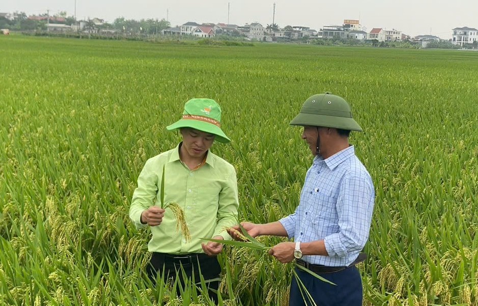 khang dinh vai tro khuyen nong trong canh tac lua phat thai thap gan voi tang truong xanh