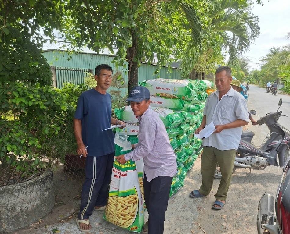 Tây Ninh đẩy mạnh mô hình lúa chất lượng cao, phát thải thấp vụ Hè Thu 2026