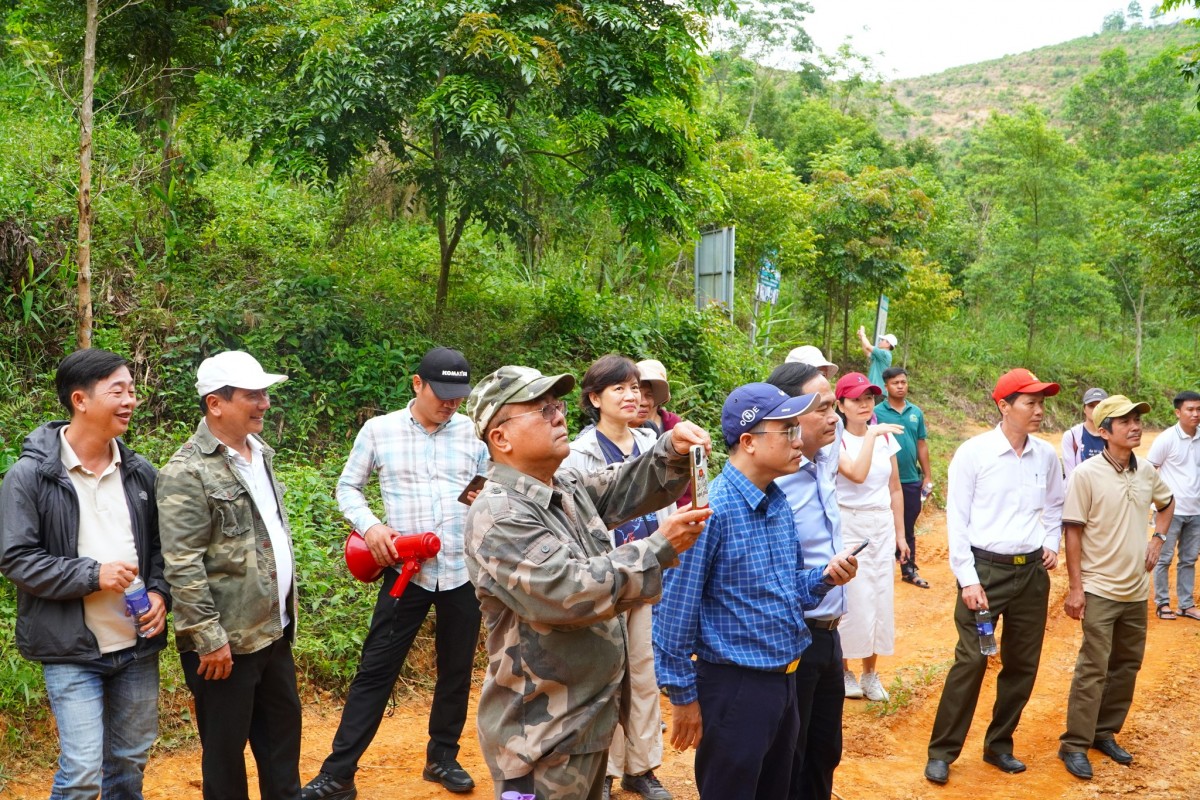 phục hồi rừng