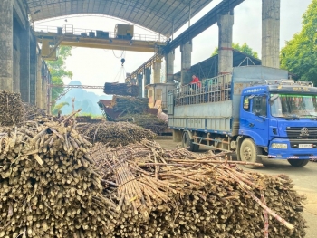 Liên kết sản xuất theo chuỗi giá trị – nâng tầm sản phẩm địa phương