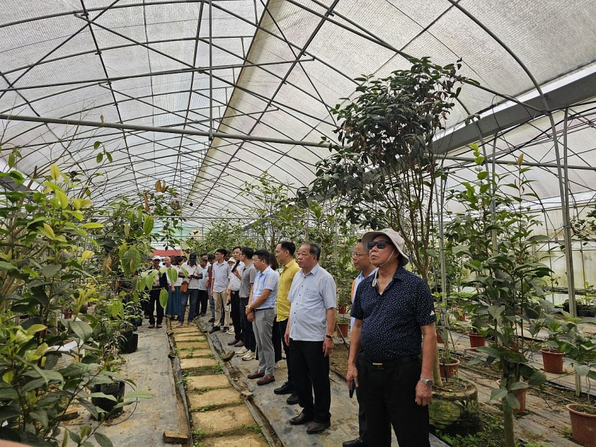 Tầm nhìn chiến lược khơi nguồn lực nâng tầm nông nghiệp Ninh Bình