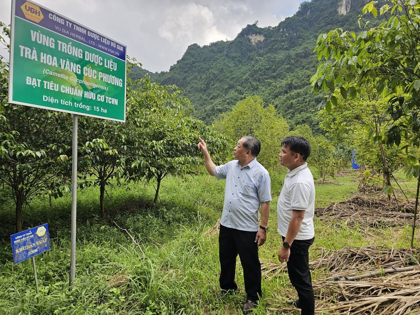 Tầm nhìn chiến lược khơi nguồn lực nâng tầm nông nghiệp Ninh Bình
