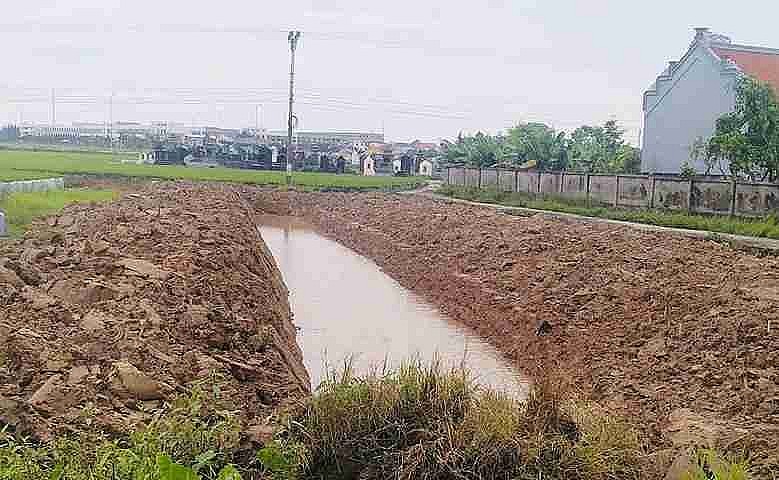 Hải Phòng: Quyết liệt xử lý vi phạm, siết chặt kỷ cương quản lý đất nông nghiệp