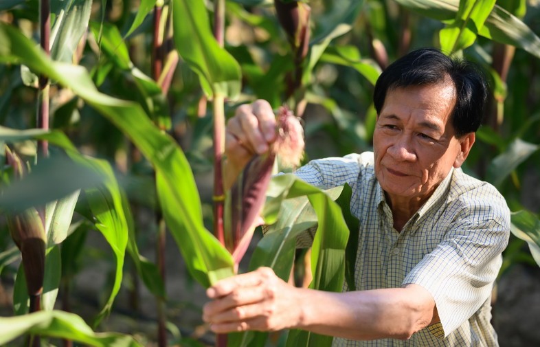 cong nghe sinh hoc nong nghiep buoc vao giai doan phat trien da tinh trang