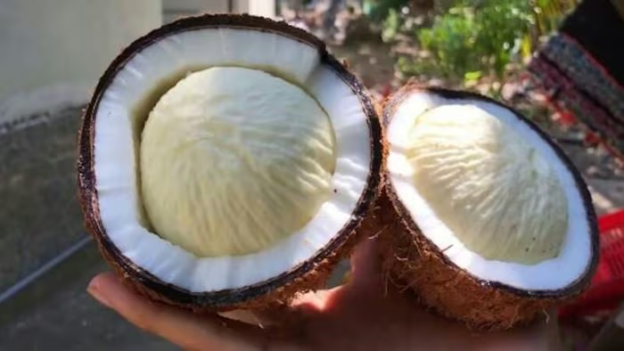 3 bộ phận của quả dừa thường bị bỏ phí, hóa ra dùng được đủ cách