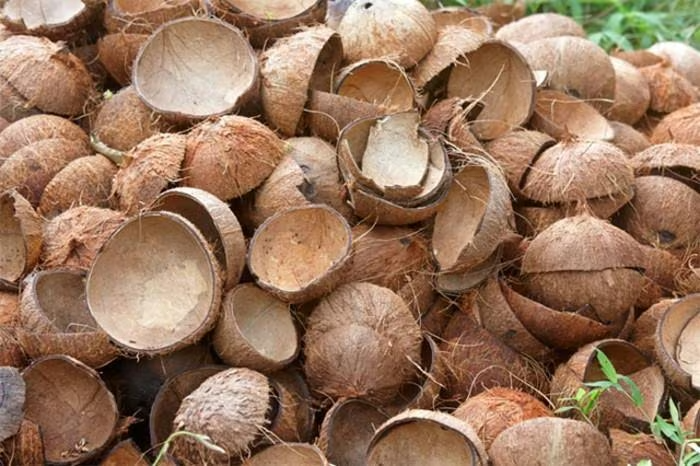 3 bộ phận của quả dừa thường bị bỏ phí, hóa ra dùng được đủ cách