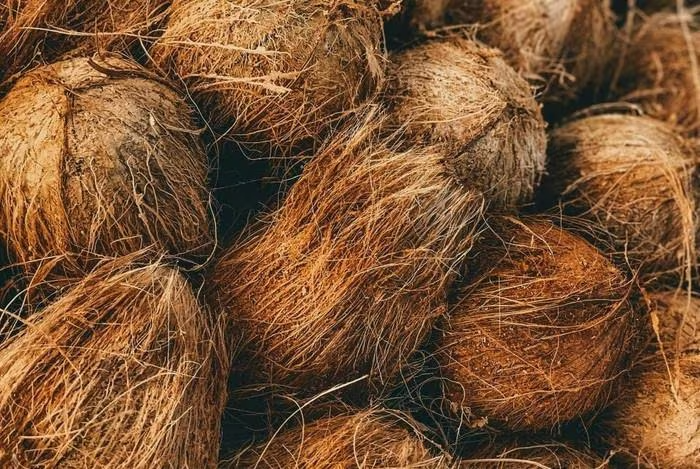 3 bộ phận của quả dừa thường bị bỏ phí, hóa ra dùng được đủ cách