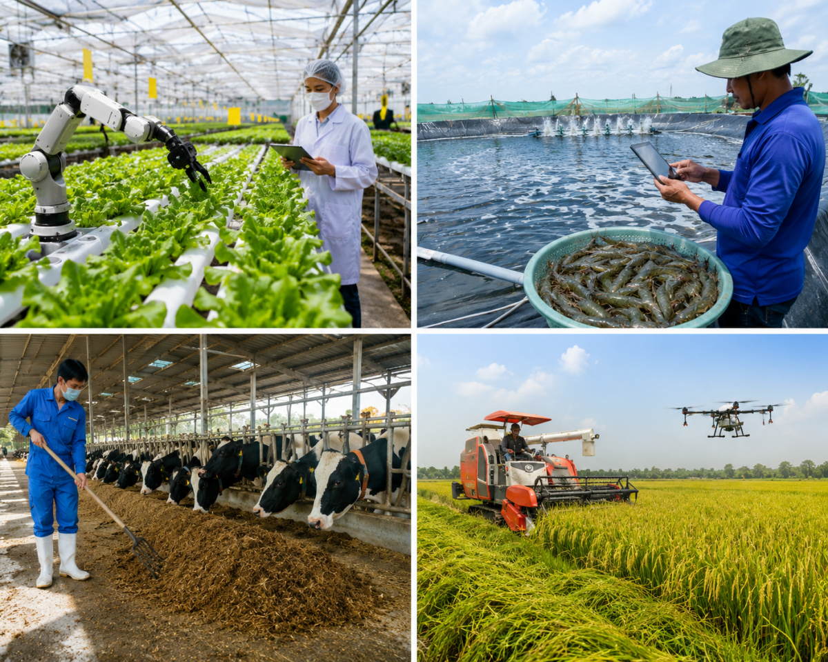 Tập trung phát triển nông nghiệp công nghệ cao, hữu cơ tuần hoàn