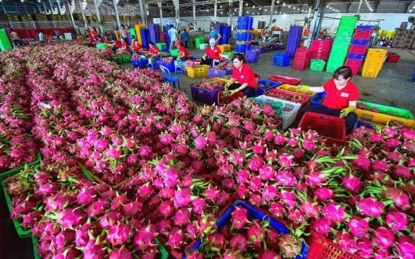 Khuyến khích kêu gọi hợp tác, đầu tư phát triển hệ thống phòng kiểm nghiệm chất lượng nông sản, trái cây